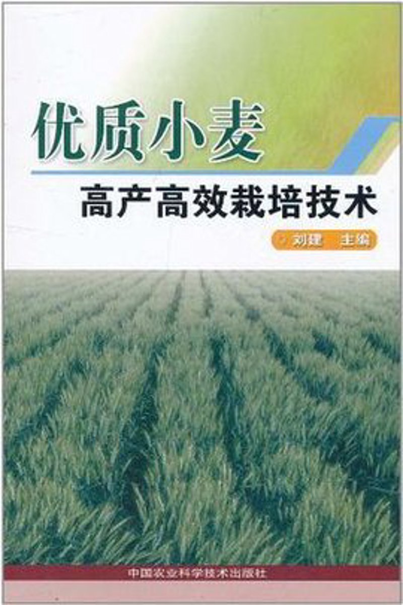 浓香型酒：中国白酒文化的瑰宝